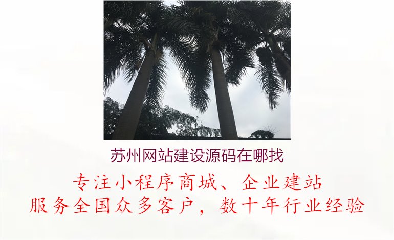 苏州网站建设源码在哪找3.jpg