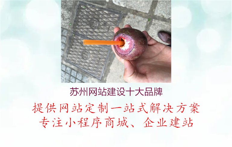 苏州网站建设十大品牌1.jpg