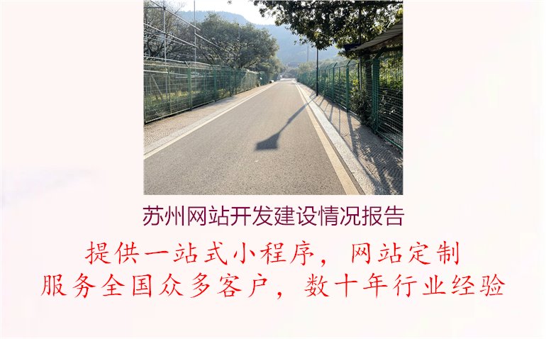 苏州网站开发建设情况报告1.jpg