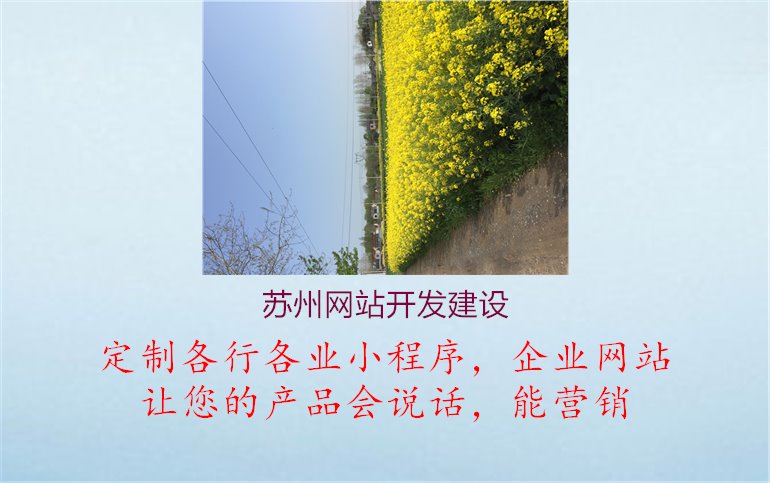 苏州网站开发建设1.jpg