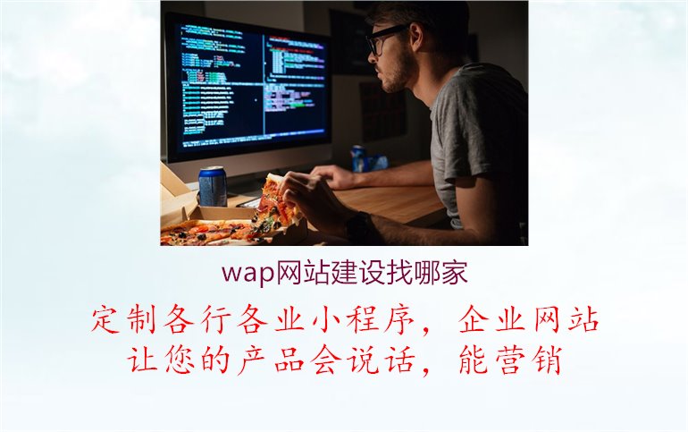 wap网站建设找哪家1.jpg