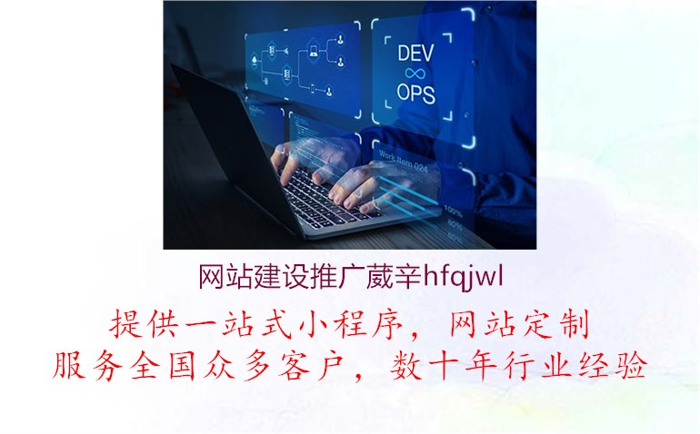 网站建设推广葳辛hfqjwl2.jpg