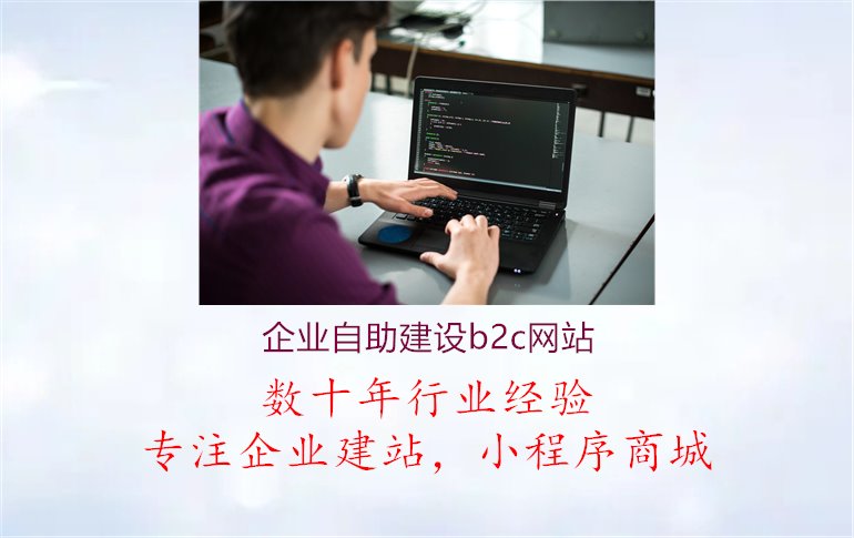 企业自助建设b2c网站1.jpg