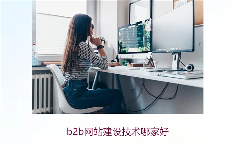 b2b网站建设技术哪家好1.jpg