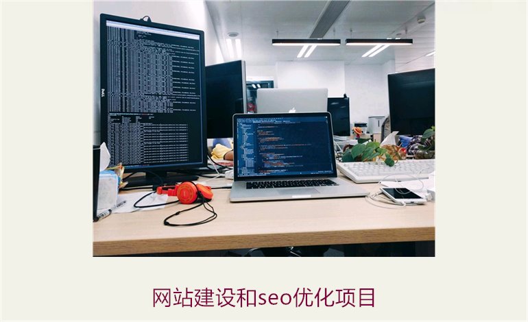 网站建设和seo优化项目2.jpg
