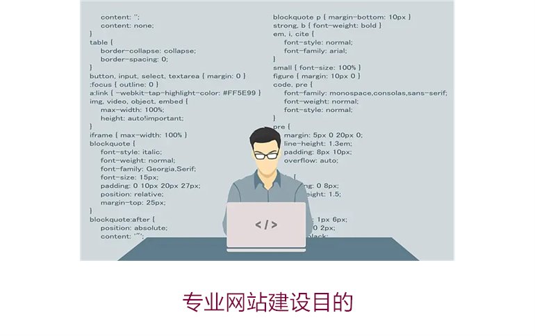 专业网站建设目的3.jpg